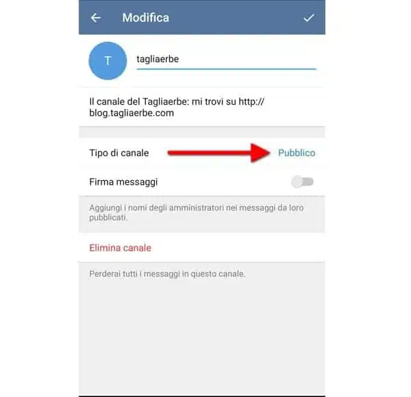 Telegram e canali: Come aprirli e pubblicarci contenuti automaticamente 4 Canale Pubblico Telegram