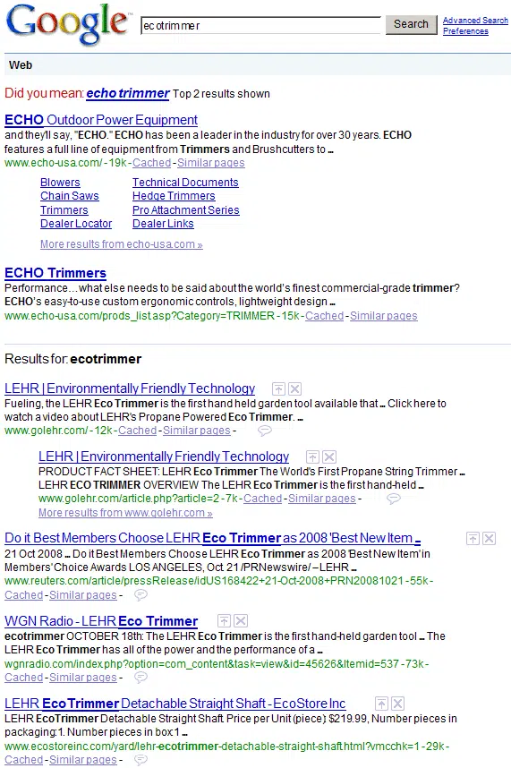 Google Spell Checker in azione