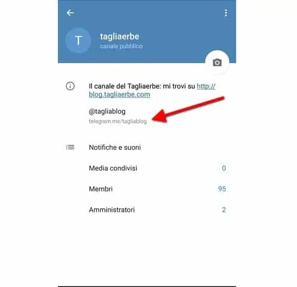 Telegram e canali: Come aprirli e pubblicarci contenuti automaticamente 5 Link Canale Telegram
