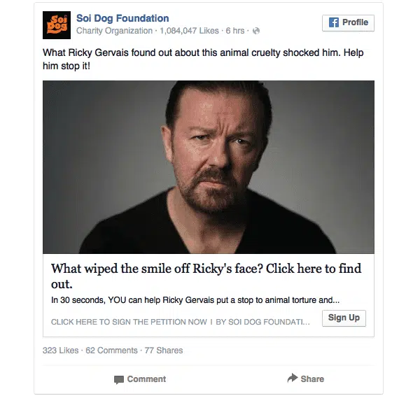 Banner Facebook con le parole CRUELTY e TORTURE