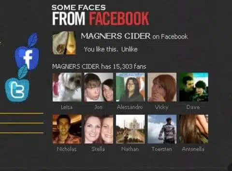 La presenza del brand su Facebook