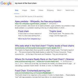 Query correlata