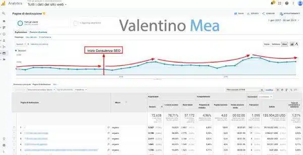 Inizio consulenza SEO ecommerce