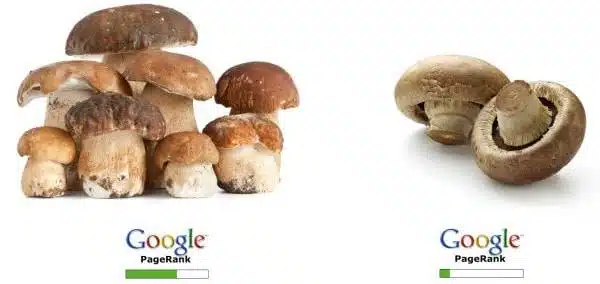 google pagerank 3 - Max Valle