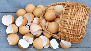 Differenziare e Guadagnare Online