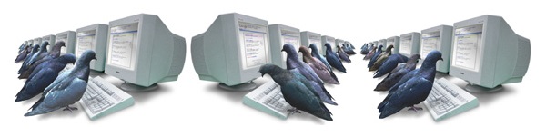 Google Pigeon: si aggiorna l’algoritmo della Local Search